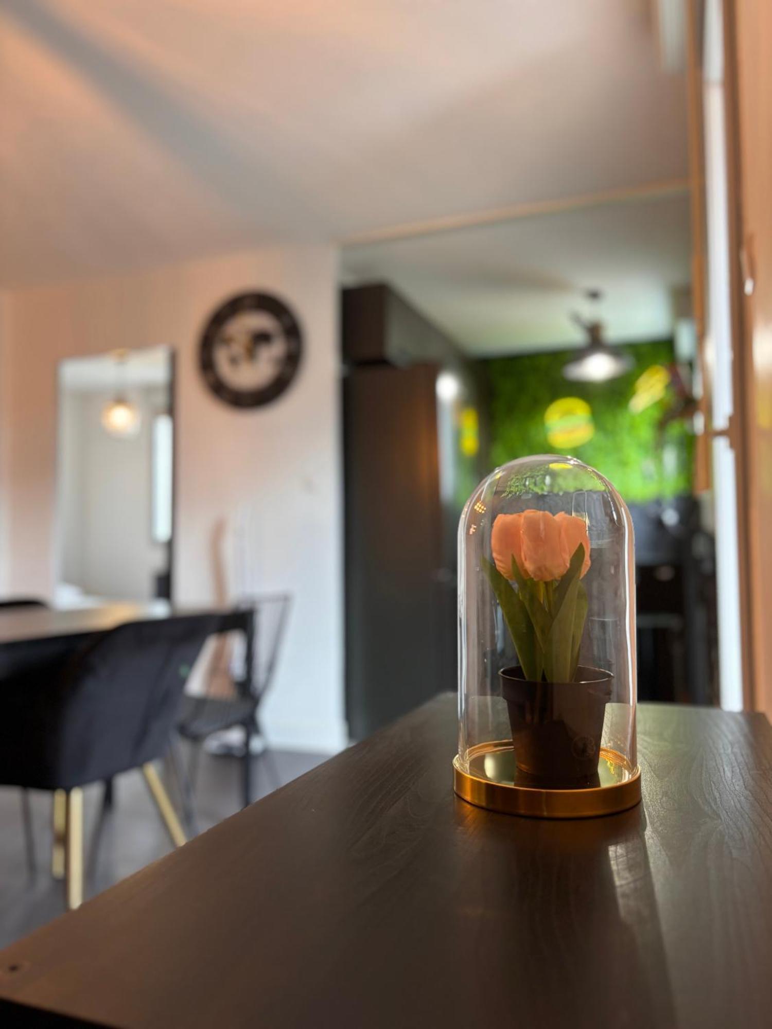 Charmant Appartement 圖盧茲 外观 照片